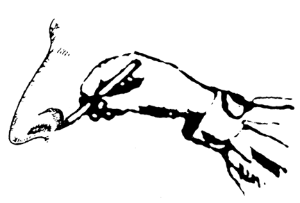 Nose Motif