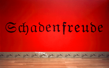 Photograph of Schadenfreude Installation